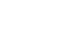 Sporta Punkts